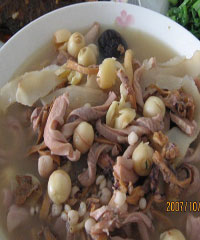 墨魚豬肚湯的做法 墨魚豬肚湯的做法