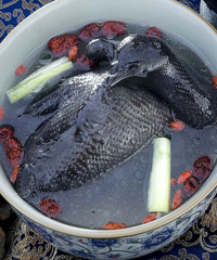 ���u��������