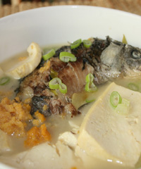 �a�~(y��)������������