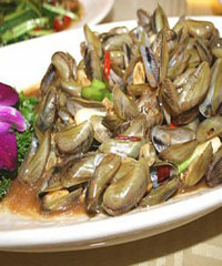 ���������ӵ�����