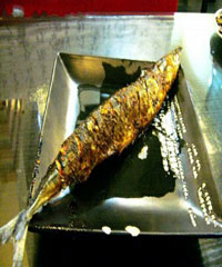 ���ﵶ�~������