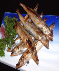 �}���ﵶ�~������