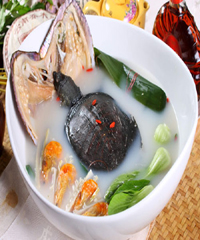 ��������~(y��)������