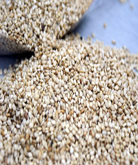 ��֥�������