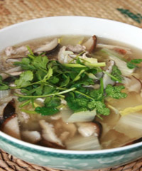 ΁ţ��Ƭɰ停�������