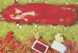 明爐燒乳豬的做法 明爐燒乳豬的做法