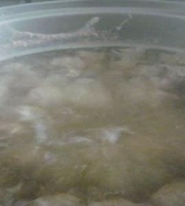 ����ţ���������