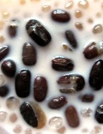 紅豆西米露的做法 紅豆西米露的做法