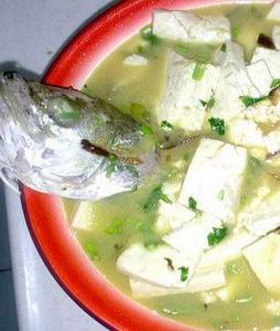 豆腐燉鱸魚的做法 豆腐燉鱸魚的做法