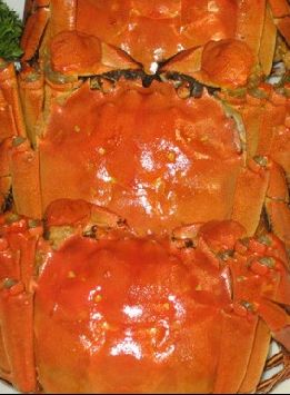 ơ��з������