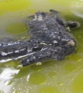 ���מ��u��������