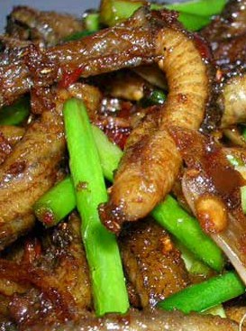 �����X�~������