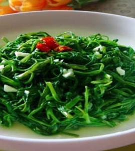 通心菜的做法 通心菜的做法