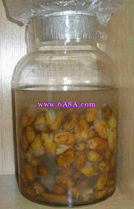 �����SƤ�Ƶ�����