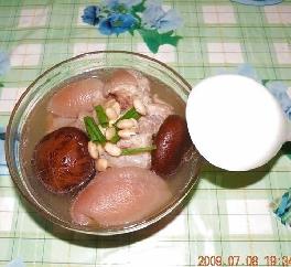 �S���㹽���i�������