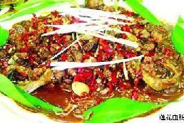 ɏ��Ѫ��������