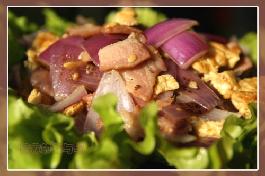 ������[����������