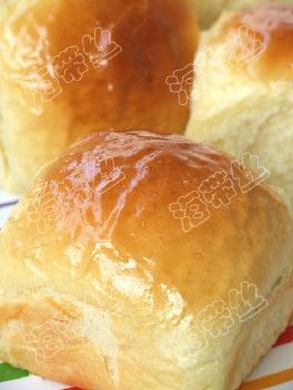 �޵����������