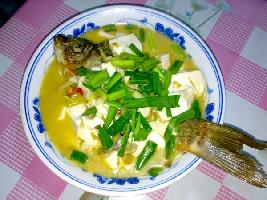 魚燉豆腐的做法 魚燉豆腐的做法