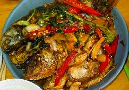 �ɟ��a�~������