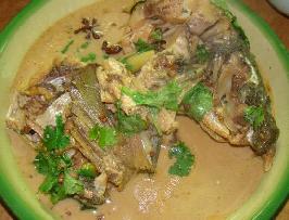 �����ļt�����~������