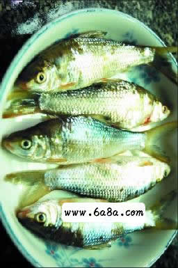 �۸��N�~(y��)��������