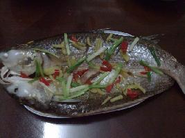 �������~(y��)������