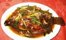 ơ�����~������