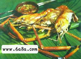 ̿�����^�r������