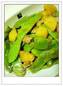 �Ͷ��ǟ�����������