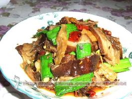 ���Ӹ��D�������