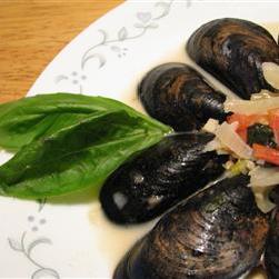 茴香蕃茄奶油青口的做法 茴香蕃茄奶油青口的做法