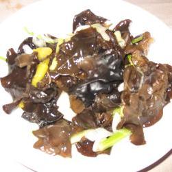 �ݽ�ľ��������