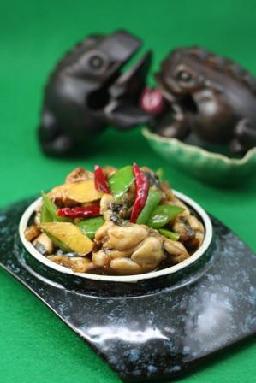 �ڽ�ţ�ܵ�����