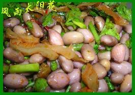 �����S�����̲˵�����