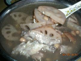 ����ɏź�Ź��u�_��������