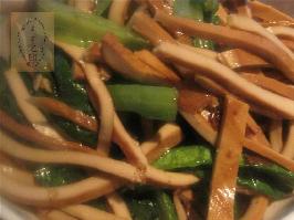 �����˶����z������