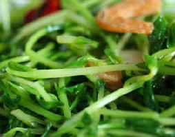 金鉤豆苗的做法 金鉤豆苗的做法