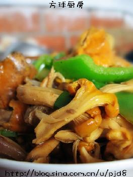 �S��Ģ���������