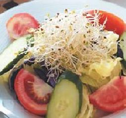 ʲ�\�߲�ɳ����(y��u)��֭������