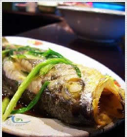 �����S���~������