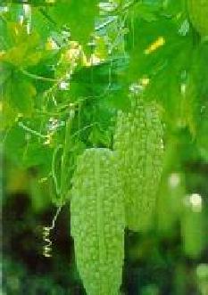 �������Źǜ�������