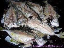 �F�塰����Ƥ��������