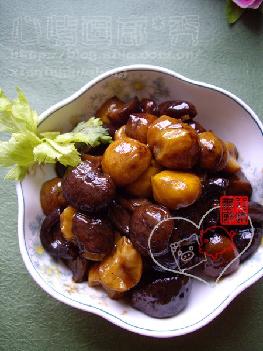 �✫�а�������������