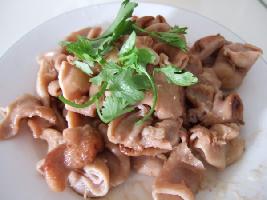 �u�ͷ��c������