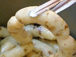 糯米腸的做法 糯米腸的做法