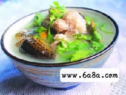 �S�X�ŹǷ۽z��������