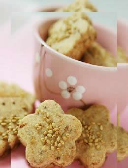 ֥������ɵ�����