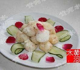 ����ɽˎ�������