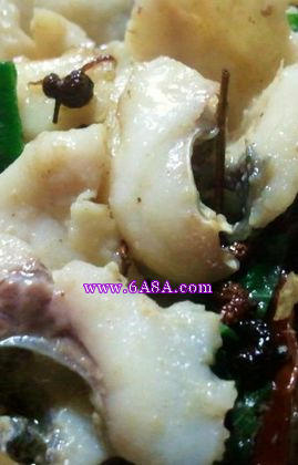 ���v�~(y��)������